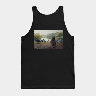 curious pigeon Tank Top